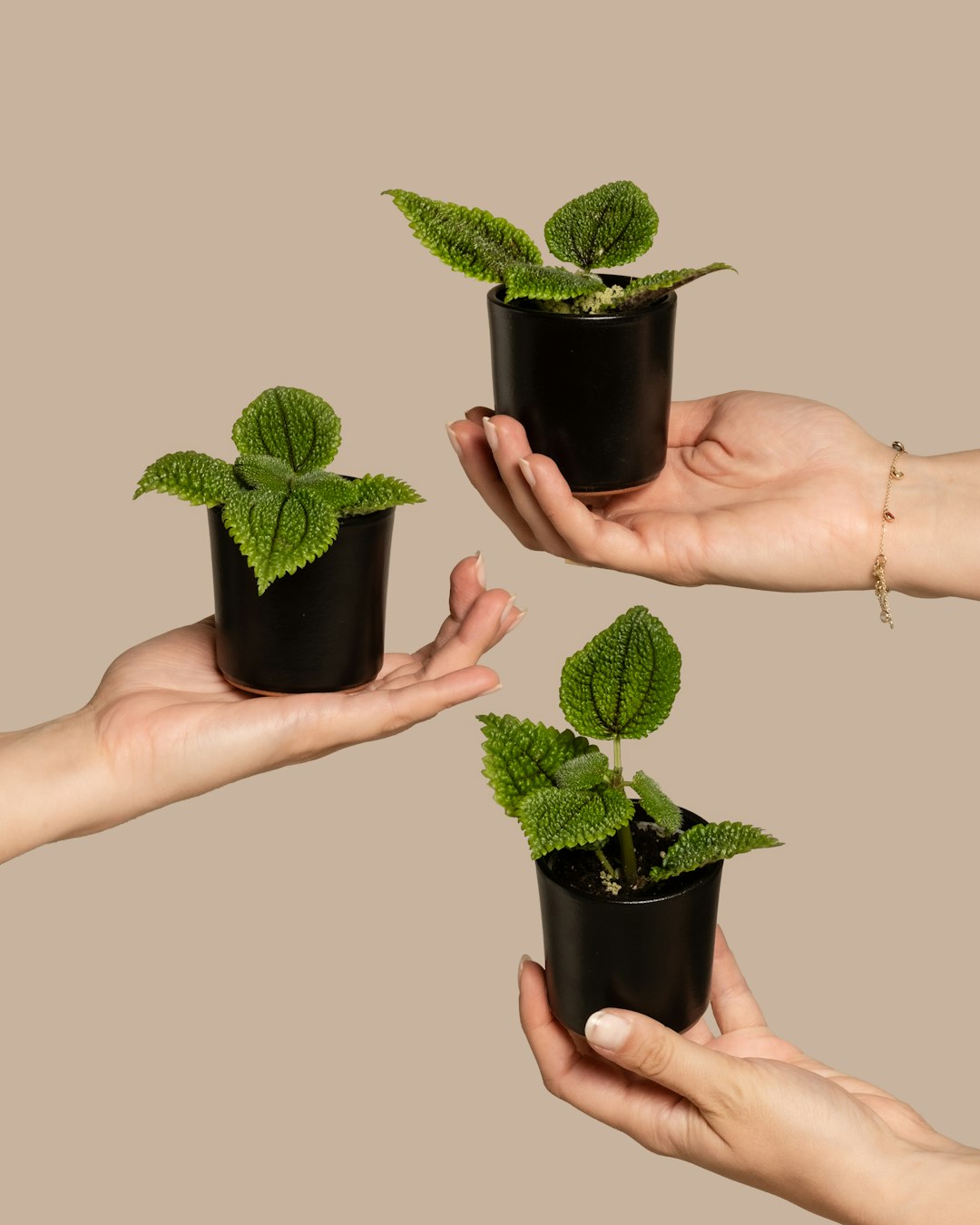 Sustainable Growth